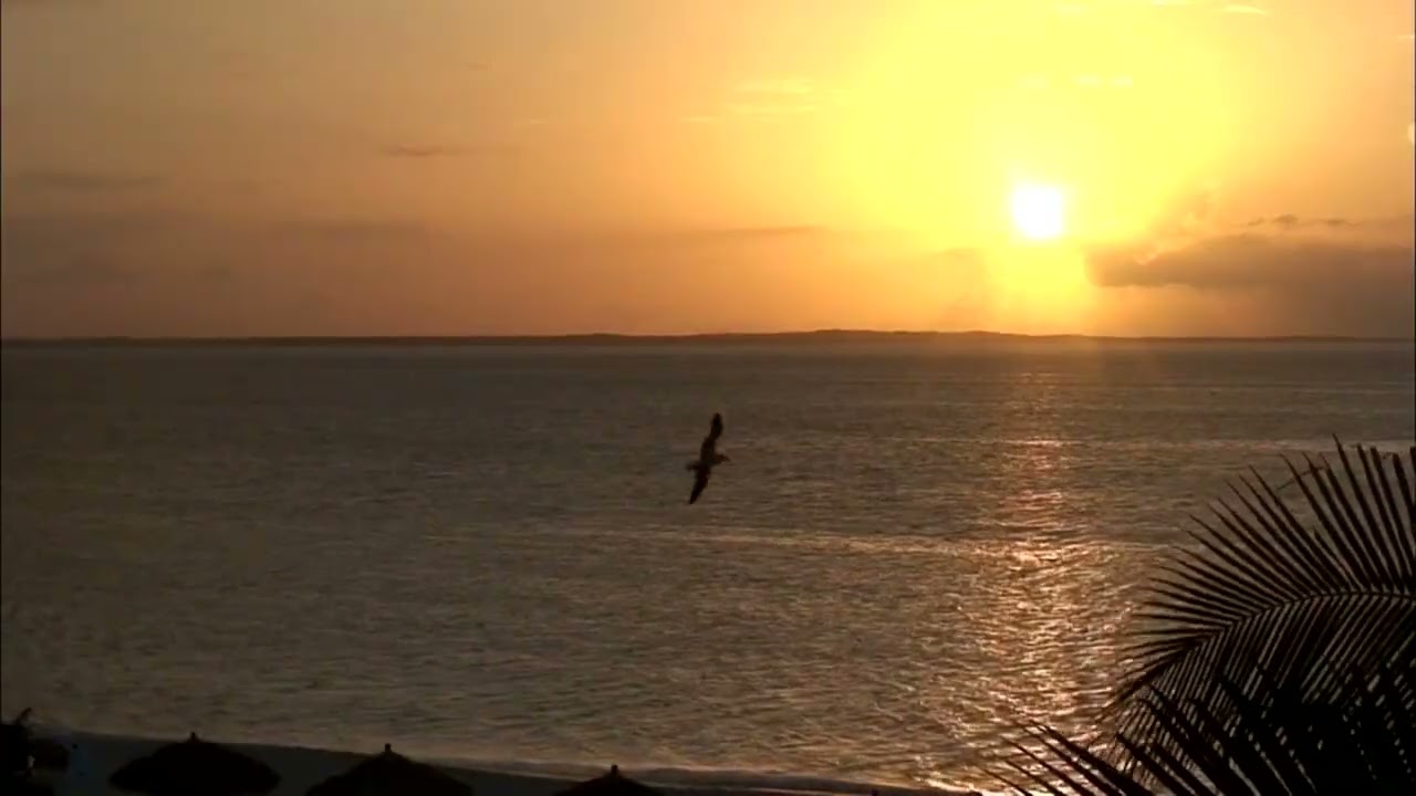 Balm In Gilead- John Starnes