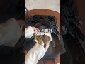 【カバンの中がゴミ屋敷状態の人は損】リュックのゴチャつきを一瞬でリセット!?サリュの完売続出550円メッシュバッグ運用術