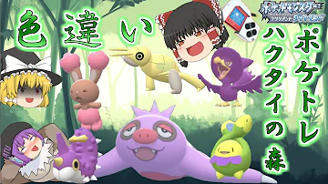 ダイパリメイク自然発生色違い ダイパリメイク自然発生色違い