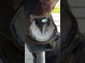 Satisfying Horse Hoof Restoration! #shorts #farrier #satisfying #asmr