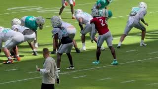 Miami Dolphins Training Camp 2026 NEW ERA#phinsup🐬 