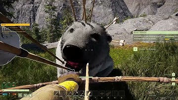 ICARUS How To Kill A Bear