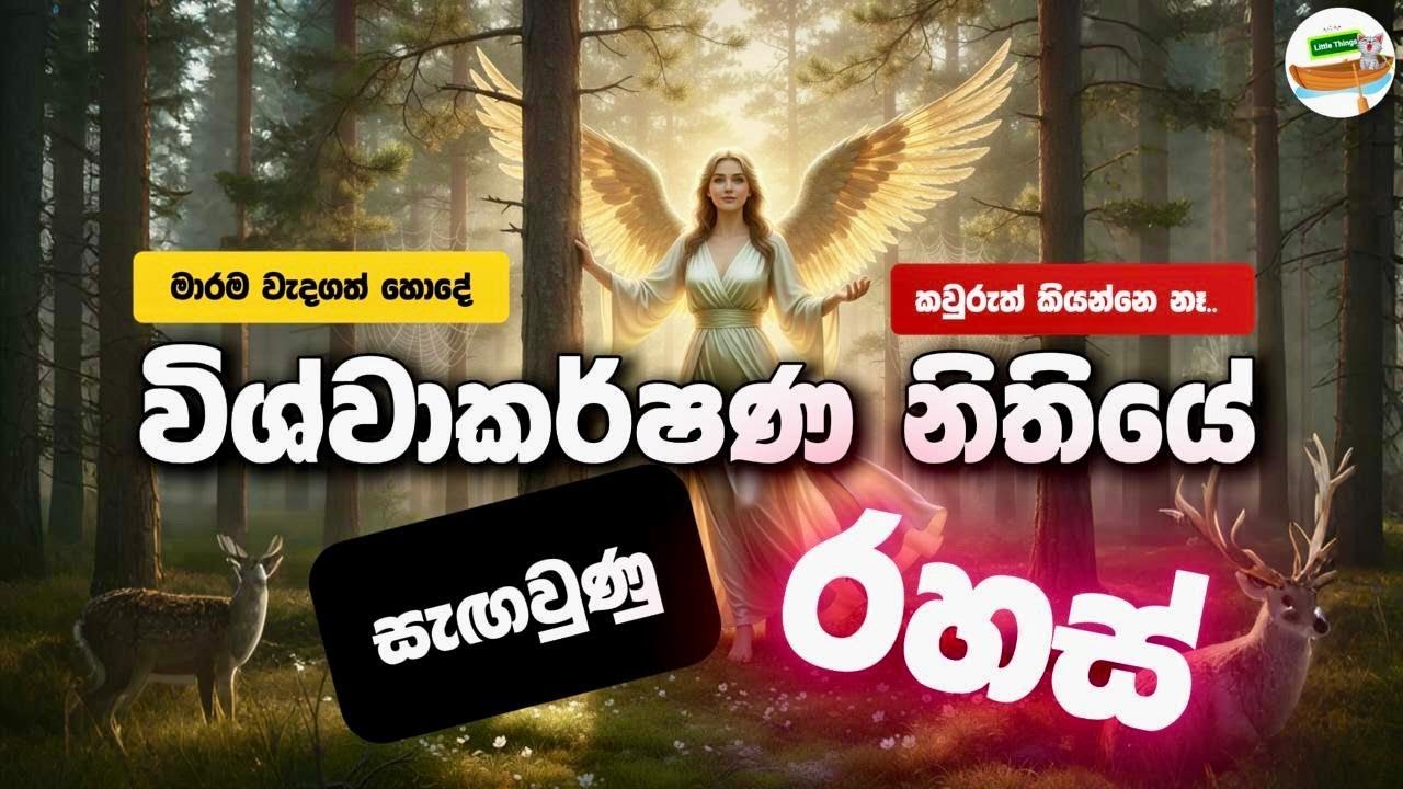 විශ්වාකර්ෂණ නිතිය ගැන කිසිම කෙනෙක් කියලා නොදෙන වැදගත්ම කාරණා. ඔබේ සිතුවිලි හරහා අරුම පුදුම ජිවිතයක්