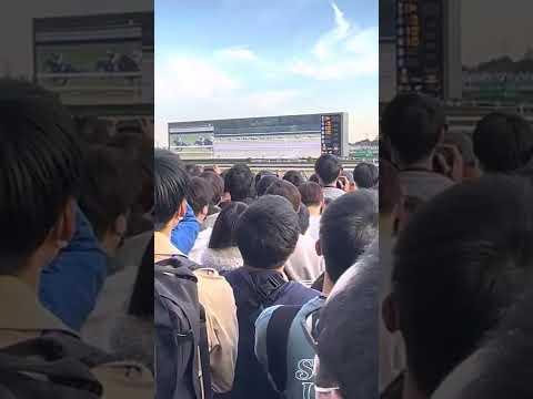 【天皇賞・秋】2022年10月30日 東京11R #short