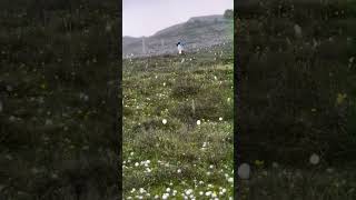 What should one do in such weather when one gets hit by such huge snowballs | Snow ball #snowball