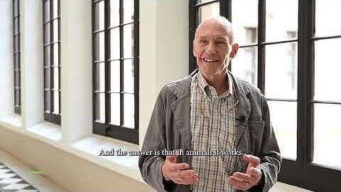 Interview to Carl June (2): What is the status of CAR-T cells studies in solid tumors?