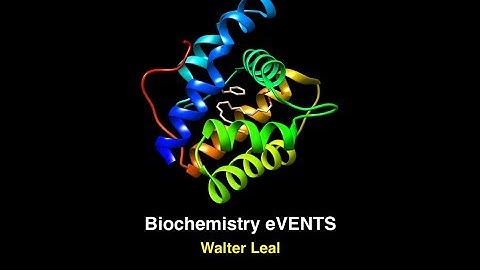 eClarification: Levinthal