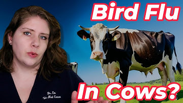 H5N1 Outbreak Update | Veterinarian Explains