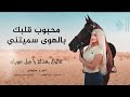 محبوب قلبك بالهوى سميتني - عالبال بعدك يا جبل حوران | اغاني طرب 2025 احمد سليمان | مطلوبه اكثر شيء .