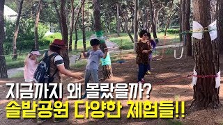 주말 가족 나들이, 솔밭공원 어떨까요? 숲 체험프로그램부터 아나바다 장터까지!!