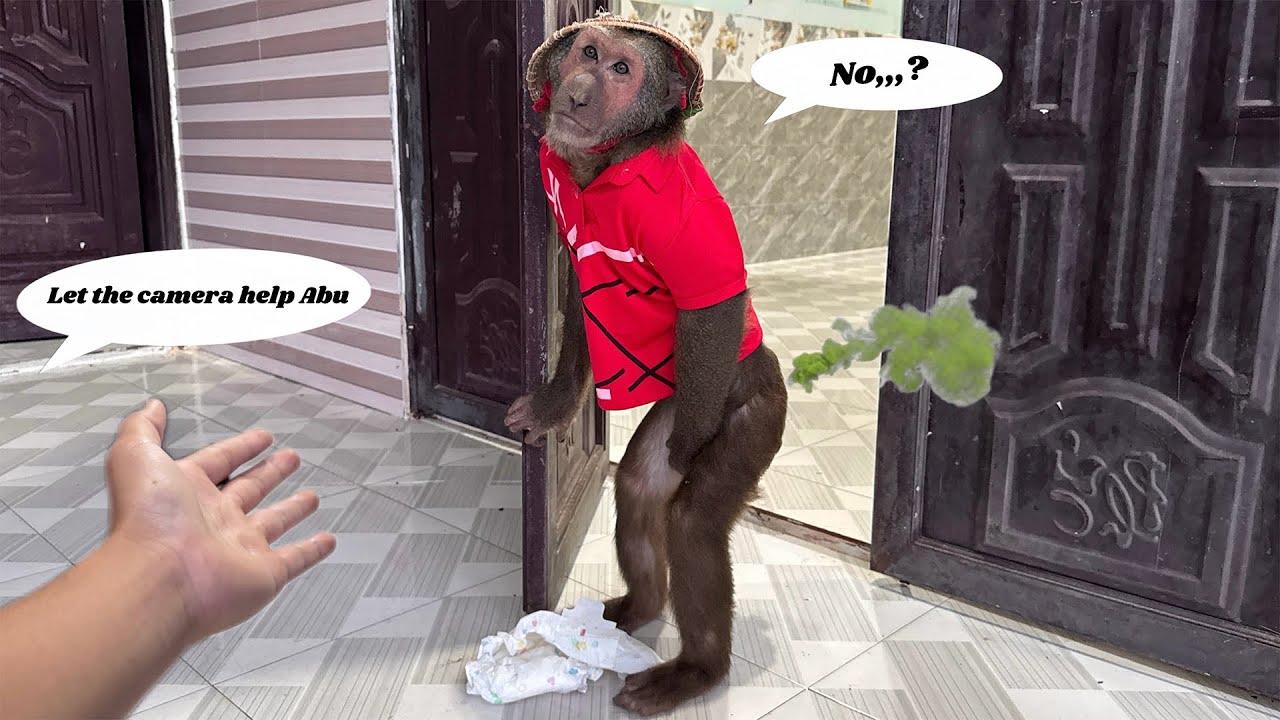 Abu Refused the Cameraman's Help Due to an Unexpected Farting Situation