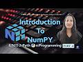 CBSE Class11 AI 843 l Introduction to NumPy  lPython Programming l Part4