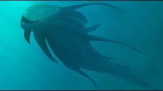 100% Click-Bate Kids Eaten By Watermonster