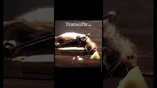 No doubt these four Rats took the top four places😳💀| #shorts #memes #rat