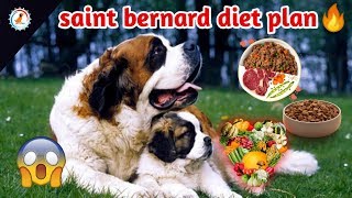best dry food for saint bernards