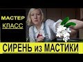 Мастер КЛАСС Cирень из сахарной мастики с RusLanaSolo