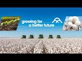 A Cotton Brazil initiative - 2020