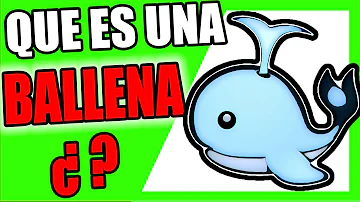 ¿Qué es una ballena en Bitcoin?