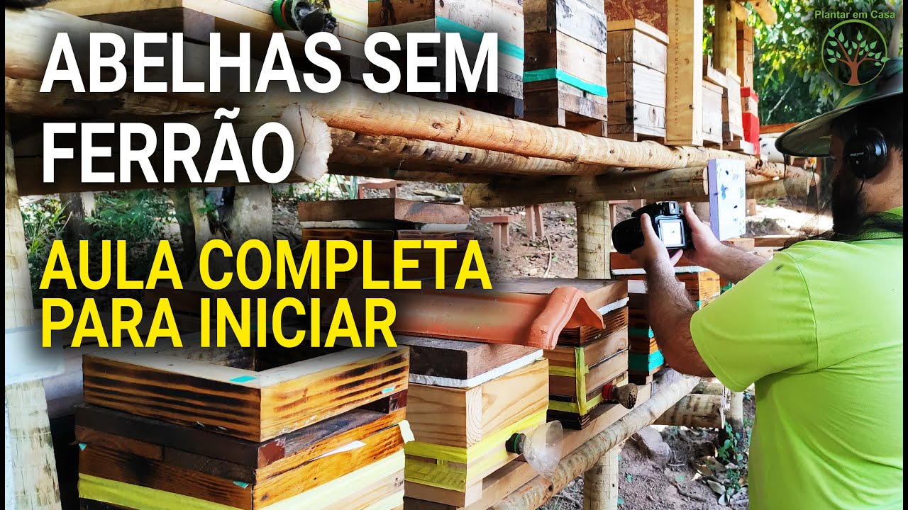 Meliponicultura, Abelhas sem Ferrão Passo a Passo na Revista Rural