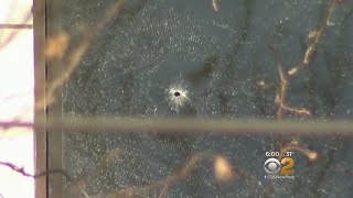 Stray Bullet Into School