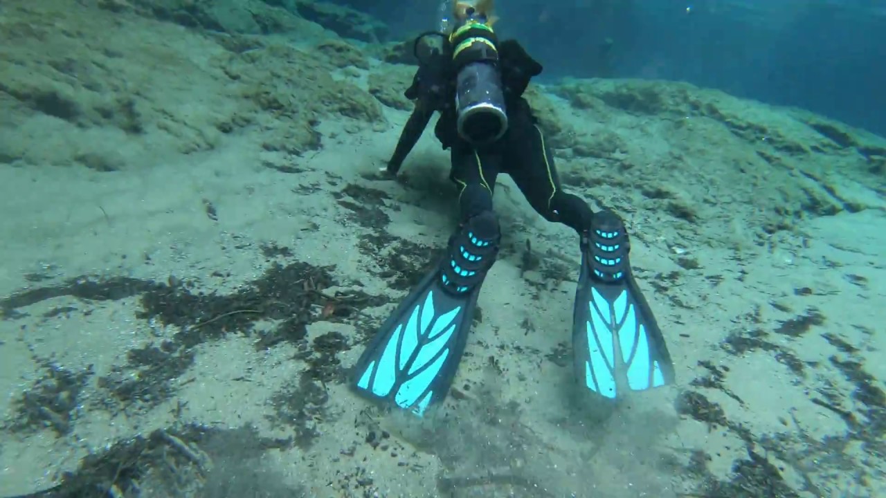 Scuba diving at Ginnie Springs when a skin diving model in a bikini swims by