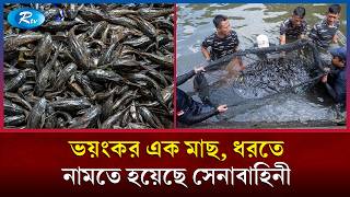 ভয়ং/কর এক মাছ, ধরতে নামানো হয়েছে দেশটির সেনাবাহিনী | Army Mission | Rtv screenshot 1