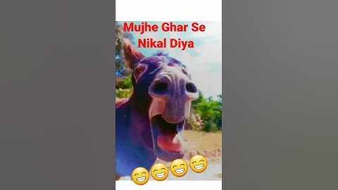 Hera Bete Ko Ghar Se Nikal Diya  #comedyvideos #shorts #funnyvideo