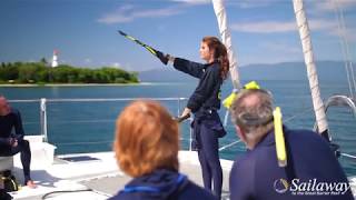 Sailaway Low Isles Full Day Trip