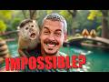 Welcome to the Monkey Paradise!