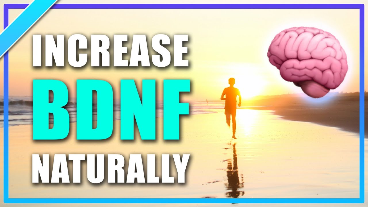 ������ How Running and Exercise Improves Memory - BDNF Neurogenesis Brain Grow Neurons | Training