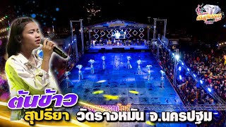 แสดงสดHDฉบับเต็ม #ต้นข้าว_สุปรียา 📌วัดรางหมัน จ.นครปฐม [ ติดต่อการแสดง0812940920 ]