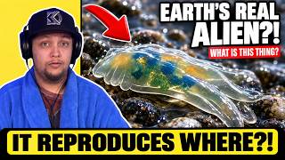 Scientists Found Something That Shouldn’t EXIST?! - Creepy TikToks & Conspiracies (Ep. 581)