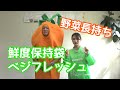 【人参の呼吸】野菜長持ち！鮮度保持袋ベジフレッシュのご紹介【鮮度保持袋】