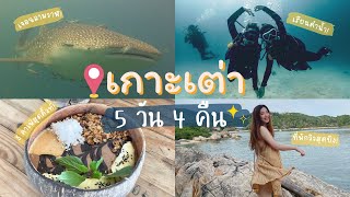 พาเที่ยวเกาะเต่า เรียนดำน้ำครั้งแรก เจอฉลามวาฬแบบใกล้ชิด! | Koh Tao Vlog 2022 | [Rose's Road]