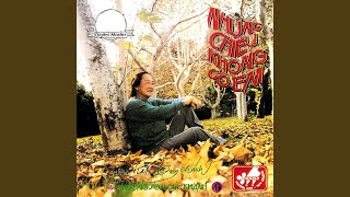 Video thumbnail of "Duy Khanh - Linh Hon Tuong Da"