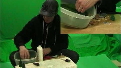 HOW TO MAKE REALISTIC MODEL TREES. Fast, easy and very cheap. A tutorial.