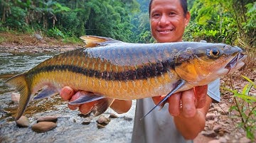 GỎI CÁ SUỐI KHỦNG • Rừng Mùa Đông • Tập 10