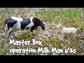 【Master Box】