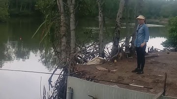 Câu cá bóng đục ở Phước An-Đồng Nai-Thiên Nhiên Muôn Loài