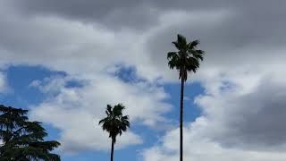 Breezy West Wind & Partly To Mostly Cloudy 11:39am May 8, 2022