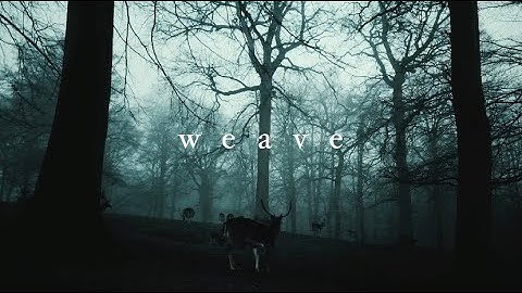 Grant Borland - Weave (Official Video)