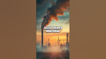 Biohybrid Sensors Frontier: A Real-Time Environmental Monitor