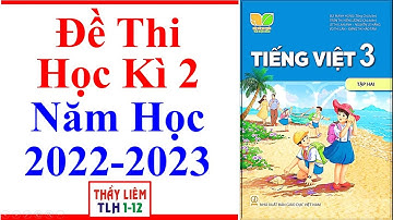 Tiếng Việt Lớp 3 Đề Thi Học Kì 2 | Năm Học 2022 - 2023 | Kết Nối Tri Thức