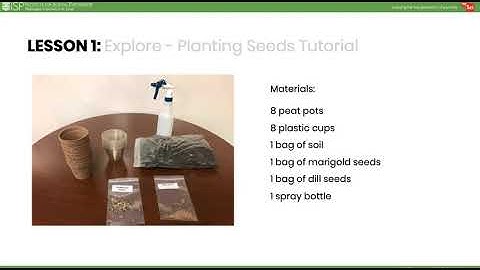 mySci Unit 9 Lesson 1 Summary