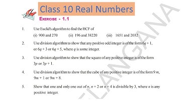 Class  10 Real Numbers EX 1.1