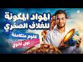 المواد المكونة للغلاف الصخري شرح كامل مع الحل علوم متكاملة اولى ثانوي ترم تاني 2026