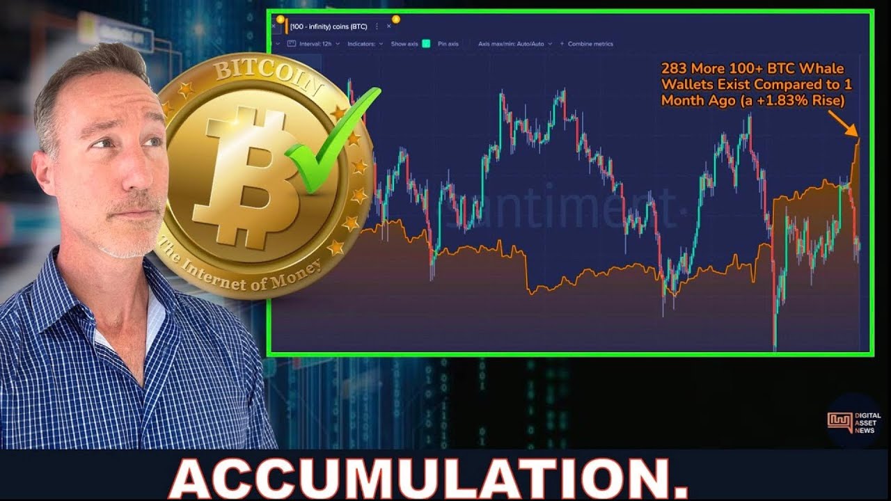 17 MONTH HIGH BTC WHALES ACCUMULATING. PRICE DROPPING. HAMSTER KOMBAT.