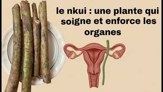 LE NKUI ,ACCOUCHEMENT,ALLAITEMENT,PROBLEMES HORMONAUX,PRECAUCITE,FATIGUE...consomme ceci