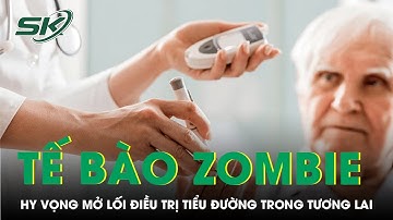 Phát hiện về tế bào ‘zombie’, hy vọng mở lối điều trị tiểu đường trong tương lai | SKĐS