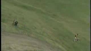 Jeremy McGrath Terrafirma 2